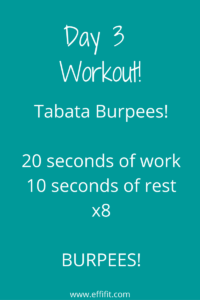Day 3 Workout EffiFit Challenge