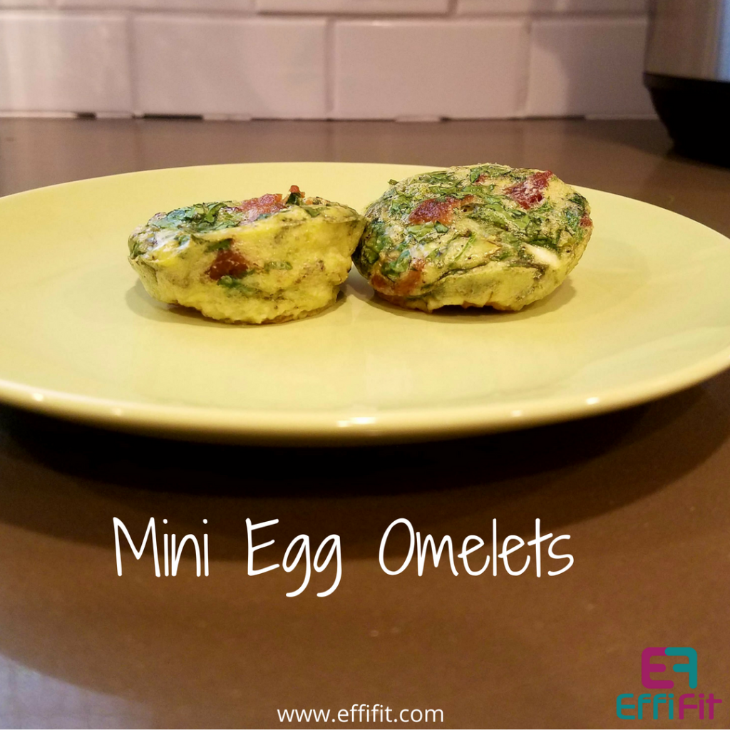 EffiFit Mini Egg Omelets