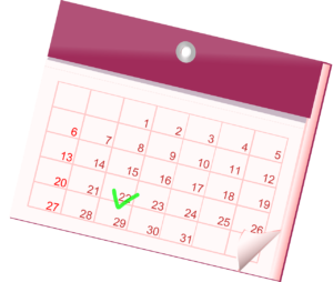 Calendar with date checked
